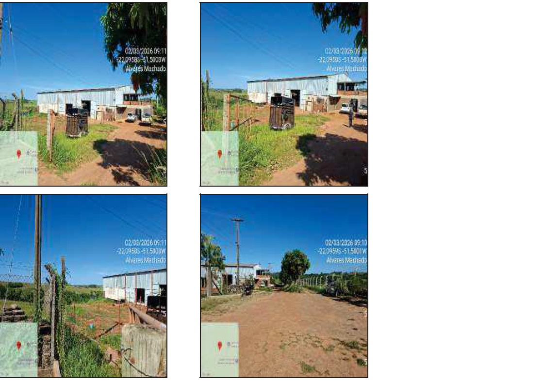 Terreno • Brejão • Alvares Machado/SP